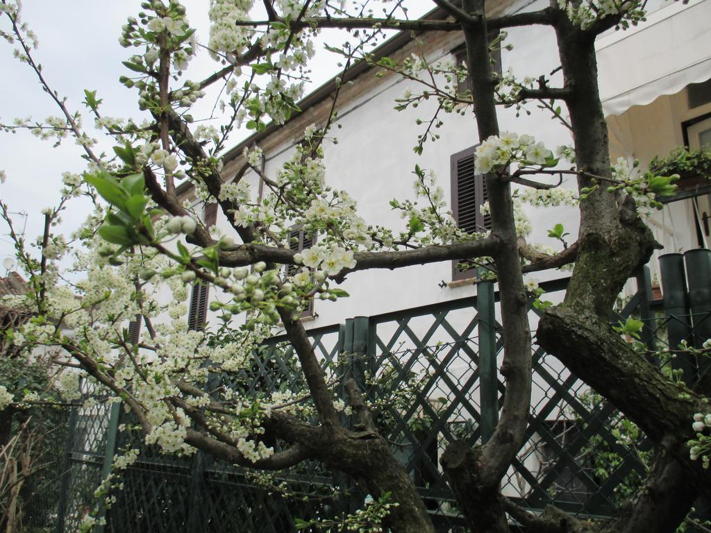 Dimora&Arte B&B Canneto sull'Oglio Exterior foto
